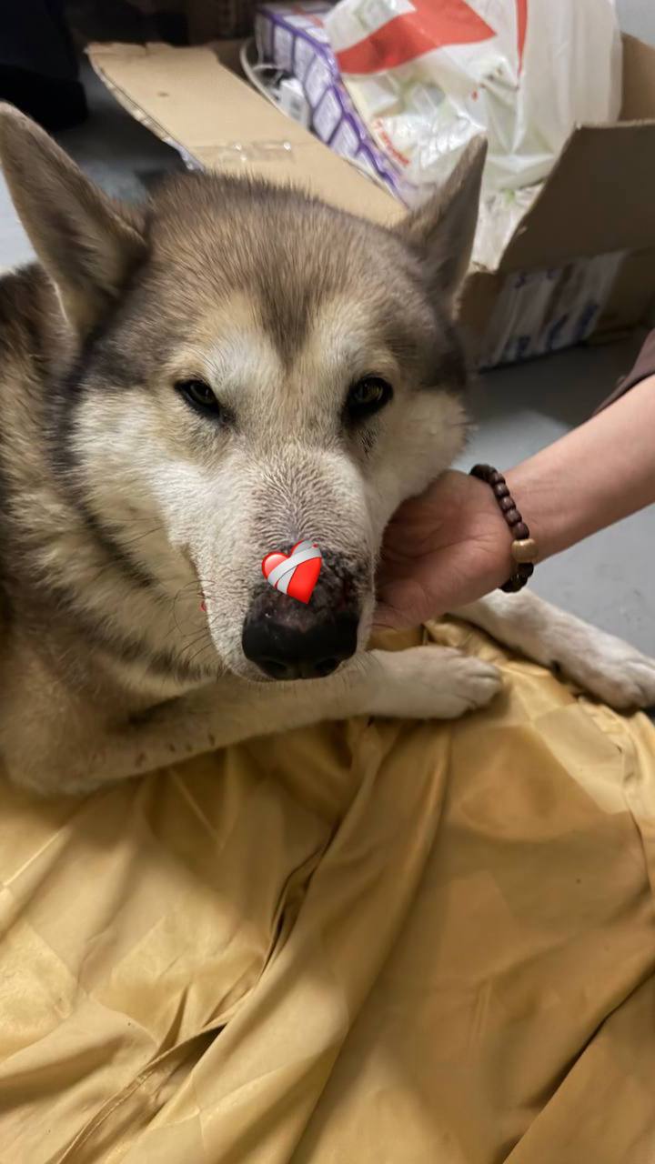 История со счастливым концом История со счастливым концом