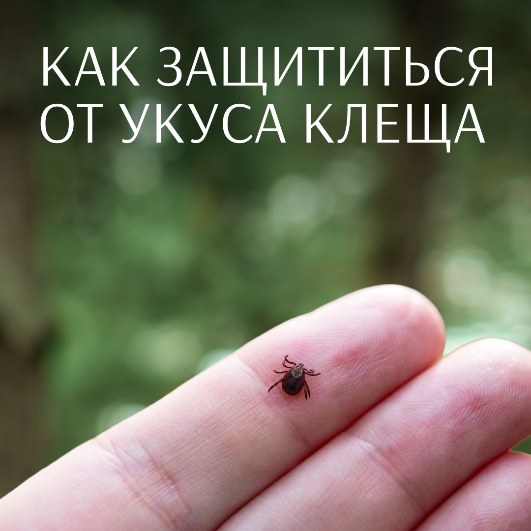 Важная информация для югорчан