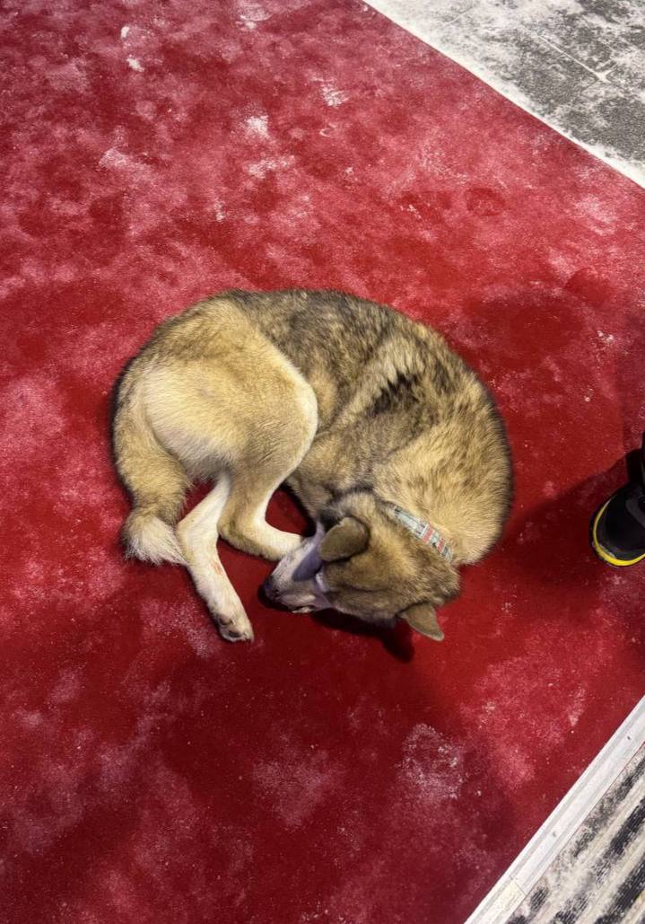 История со счастливым концом