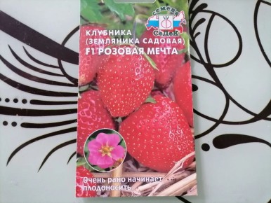 Земляника из семян: неожиданные результаты и приятные сюрпризы