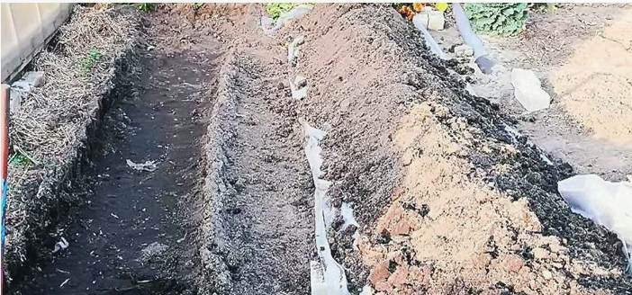 Как создать теплую грядку: практическое руководство