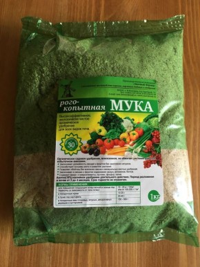 ������� ����: ������ �������� ����� �������� �� ����