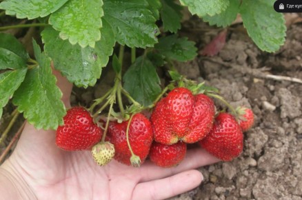 ������ ����� ����� �������� ����� �������� ��������: ���������� ����� �� ������ �����