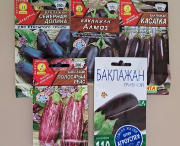 ��������� �� ������: ����� �� �������� ��������� �����������?