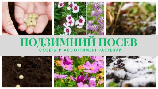 ��������� �����: ������� ���� � ��������� �����������