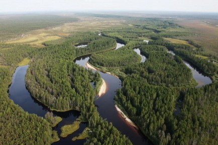Сменили оружие на знания. Окружной проект «Герои Югры» выпустил дипломированных специалистов