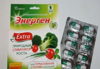 Эффективные методы ускорения прорастания семян: что действительно работает