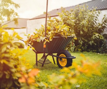 Список осенних работ для вашего сада