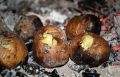 Как приготовить картофель в костре: два простых способа