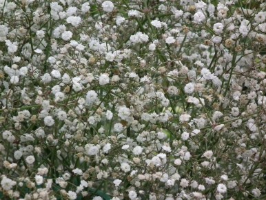 ���������: ���������� �������� � ����� ����