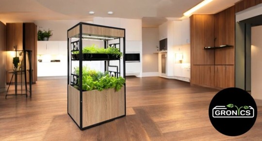 Умные грядки для вашего дома: забудьте о капризах погоды