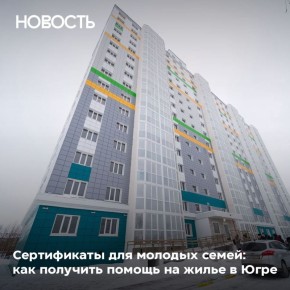 За 15 лет с 2011 года поддержку получили 3 042 семьи