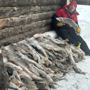 Почти полтонны щуки наловили свердловские рыбаки