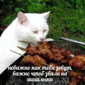 Штрафы за жарку шашлыков!. Жителям России напомнили о требованиях пожарной безопасности при приготовлении пищи на открытом огне во дворах