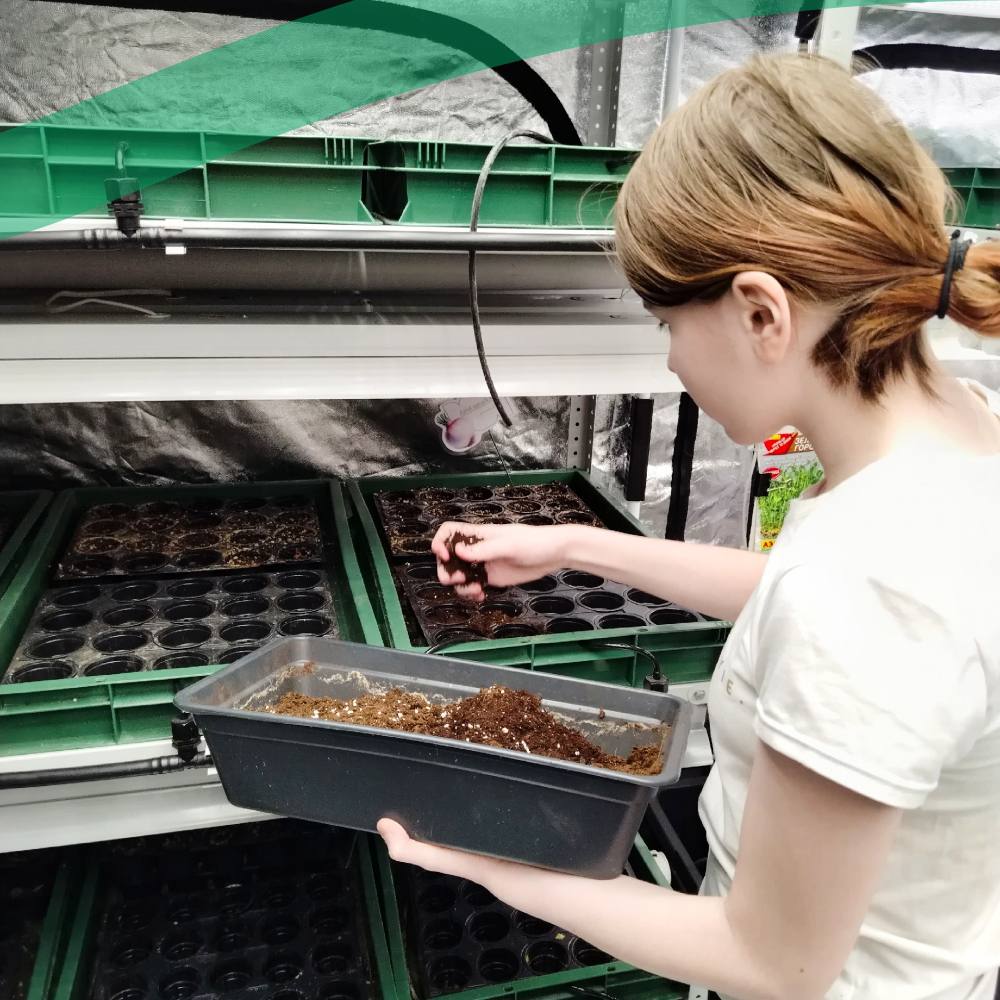 Доброе утро! Для многих вартовчан весна - это не только период потепления, но и время первых забот о рассаде на подоконниках Доброе утро! Для многих вартовчан весна - это не только период потепления, но и время первых забот о рассаде на подоконниках