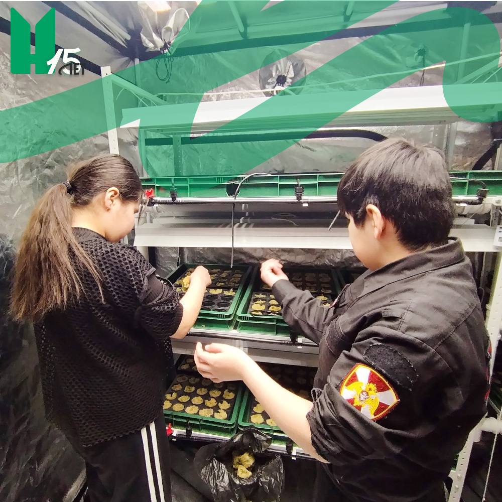 Доброе утро! Для многих вартовчан весна - это не только период потепления, но и время первых забот о рассаде на подоконниках Доброе утро! Для многих вартовчан весна - это не только период потепления, но и время первых забот о рассаде на подоконниках