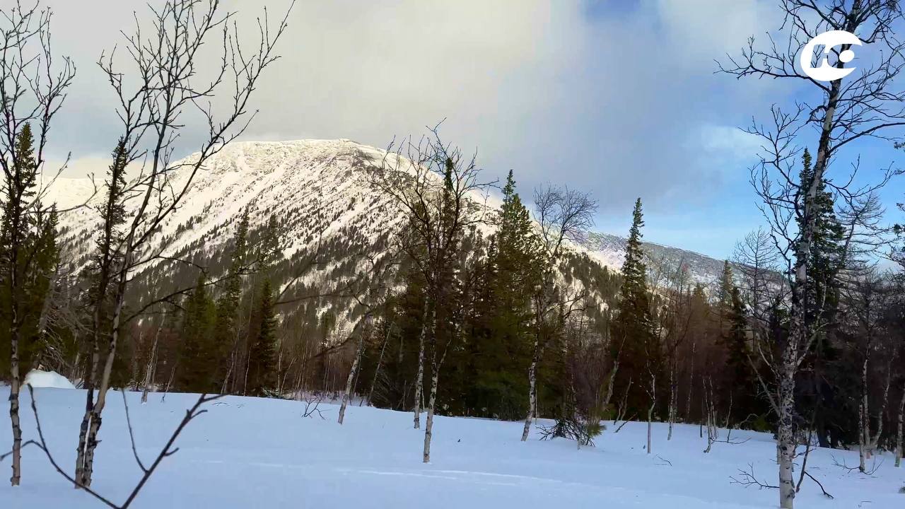 Вы еще не заскучали по новым выпускам авторской программы Татьяны Гордеевой «Северный дом»? Тогда спешим вас обрадовать: работа над новой серией завершается! Вы еще не заскучали по новым выпускам авторской программы Татьяны Гордеевой «Северный дом»? Тогда спешим вас обрадовать: работа над новой серией завершается!