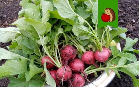 ������� �������� ���������� ������ ��� ������