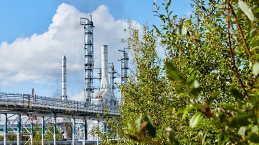 �������������������� ����������� � ���� ����������� ������������ ������������� ���������� ����������