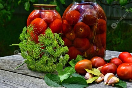 ��� ��������� ���������� �������� �� ����: ������� �������� �������