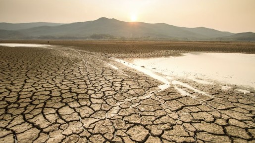 �������� ����������� ����: ������� �� ����� ����������