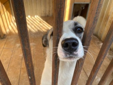 -214 ��������� ����� �� ������ �������������� � ������ ����