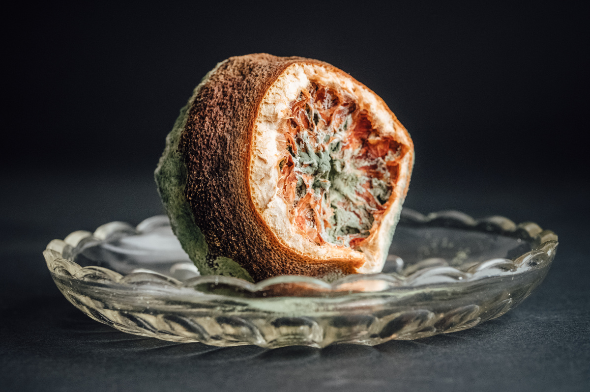 Как плесень может угрожать вашему здоровью