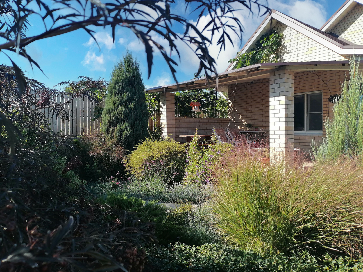 Как создать ленивый сад: 10 секретов для легкого ухода