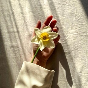 ����� ������ � �������� ������� ��������: ������� ��� ����������