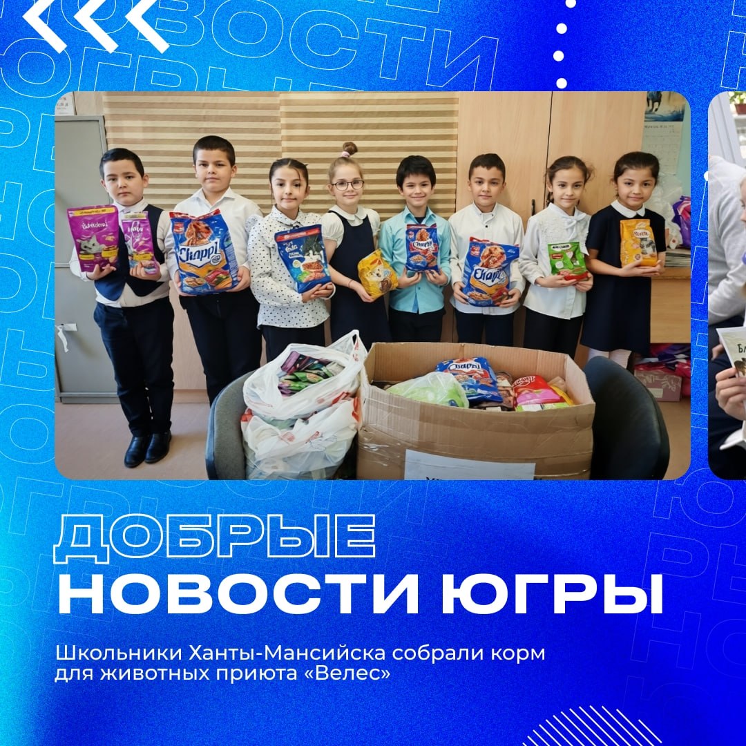 Хотите стать волонтером, но не знаете с чего начать?