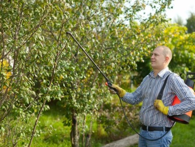 ������� ����������: ��� ������ ���������� �� ����������� ��������