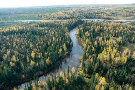 Сегодня в 9 утра стартовала запись в первые классы