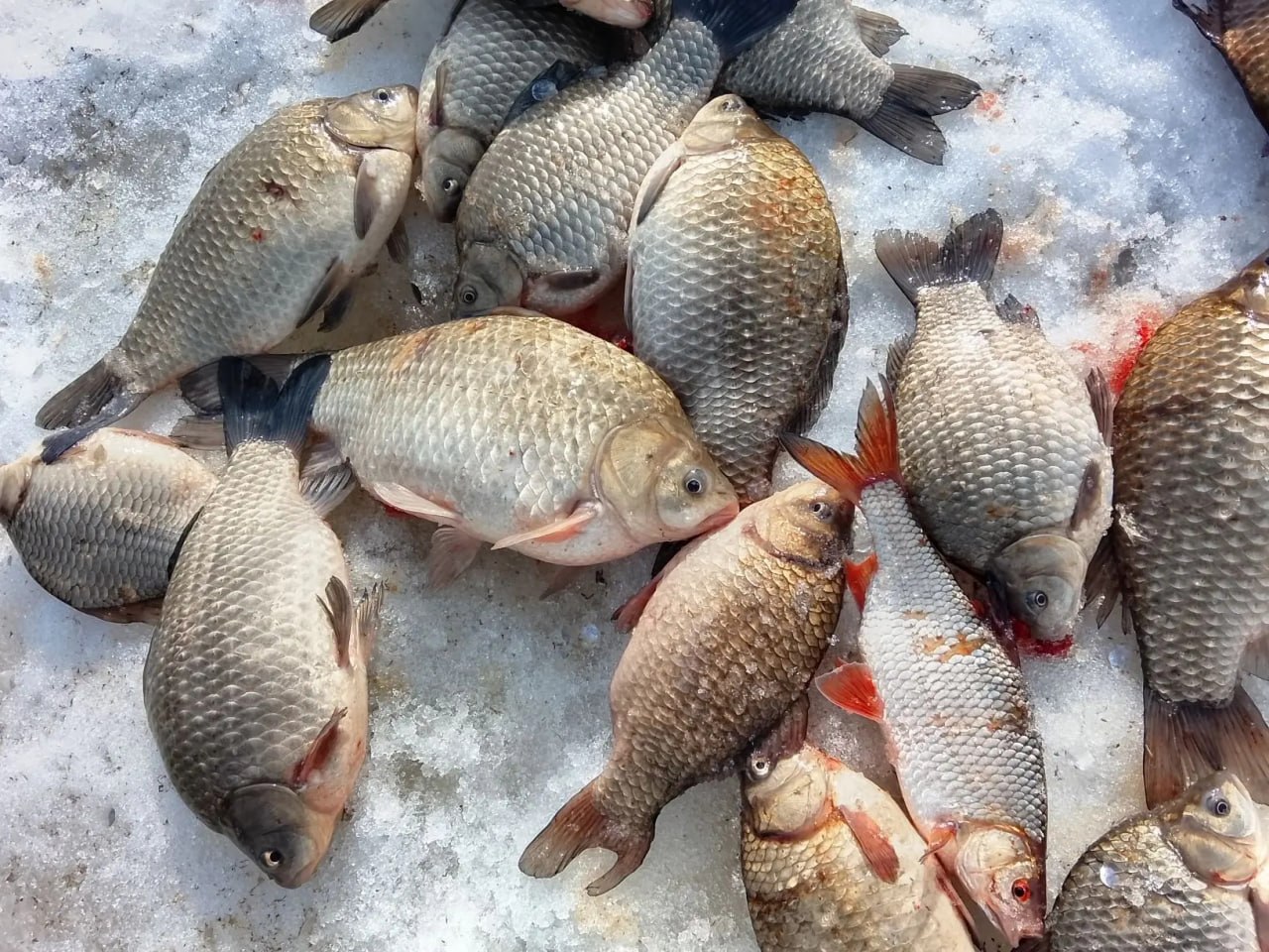 В выходные съёмочная группа телеканала «Югра» в Ханты-Мансийском районе продолжила съёмки документального фильма о семье Слинкиных на их родовой земле - в деревне Востыхой В выходные съёмочная группа телеканала «Югра» в Ханты-Мансийском районе продолжила съёмки документального фильма о семье Слинкиных на их родовой земле - в деревне Востыхой