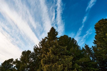 ������ ����, ����. � ������ ���� ��� ������� �����������, ��� ����� �������� ����