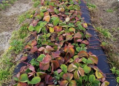 ������� ������ ������ �������� ��� �������� ������