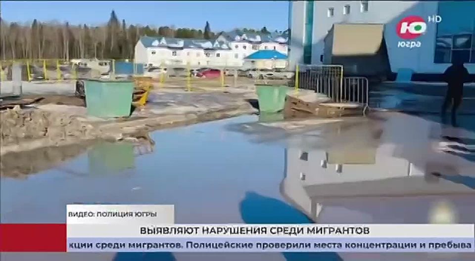 243 ��������� � 41 ��������� ���� �� 3 ���