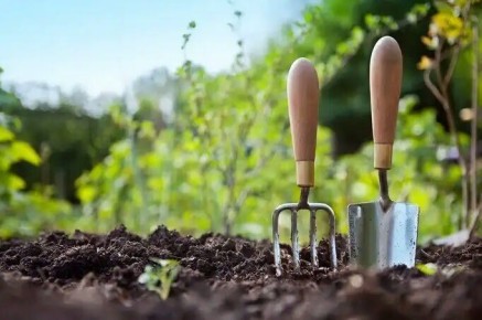 ������ ������� � �������: ������������ ����� � �������� ���� ��� ��������