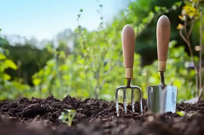 Борная кислота в огороде: удивительные факты о важности бора для растений