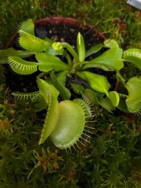 ��������� ���������� �������� � ������� � ������������ ������