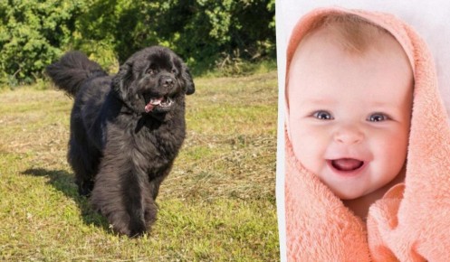 ������-����: ���-3 ������ ��� ����� � ������