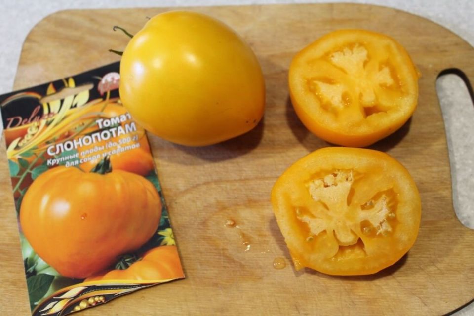 ��� ��������� ������� ������ �� �������� ������: ����� � ���� �� ������������