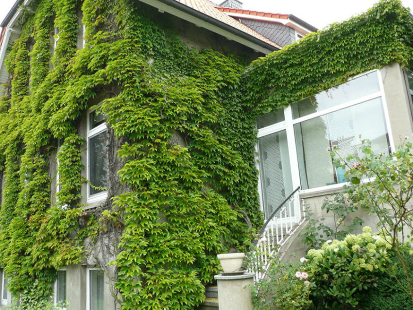 10 неожиданных способов испортить свой дом, которых лучше избегать