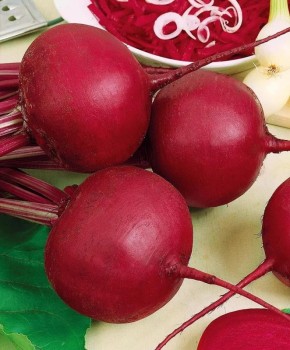 ����� ��������: �������� ����������� ��� ������ � �����