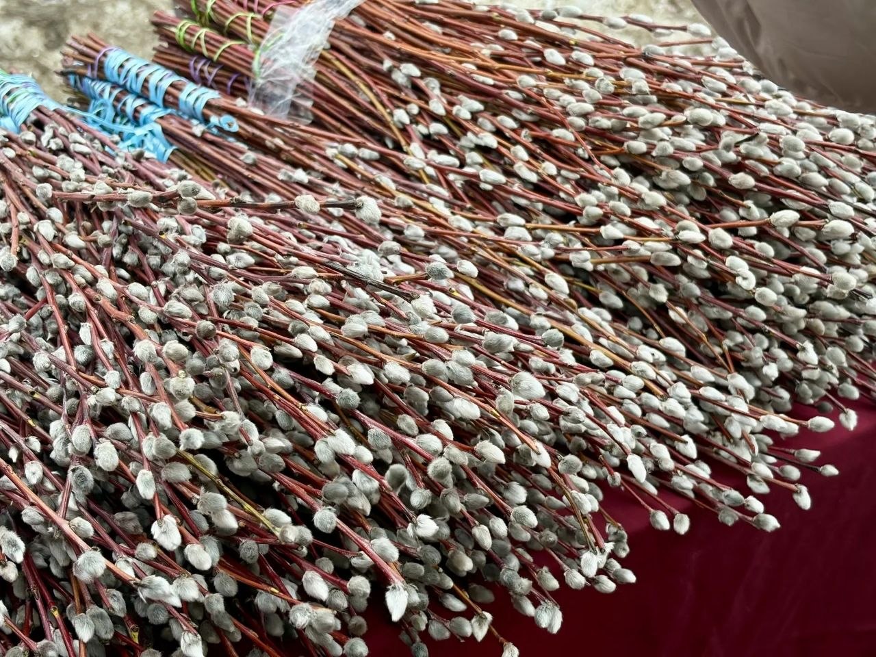 Дмитрий Кощенко: Уважаемые нижневартовцы Сердечно поздравляю с Вербным воскресеньем – светлым праздником, который символизирует торжество жизни, добра и надежды Дмитрий Кощенко: Уважаемые нижневартовцы Сердечно поздравляю с Вербным воскресеньем – светлым праздником, который символизирует торжество жизни, добра и надежды