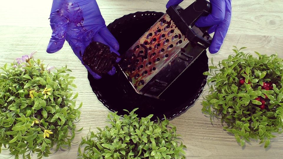 ������ ����� �� ������� � ������� ��� ������ ������