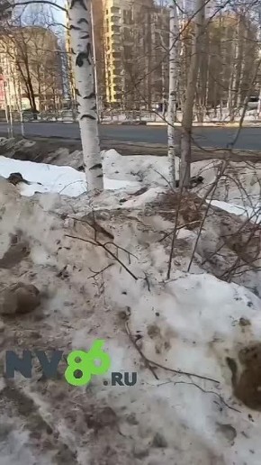 ������������� ����������� ���������� �� ��������, ������� ������� �������������� ������� �� ��������� ������