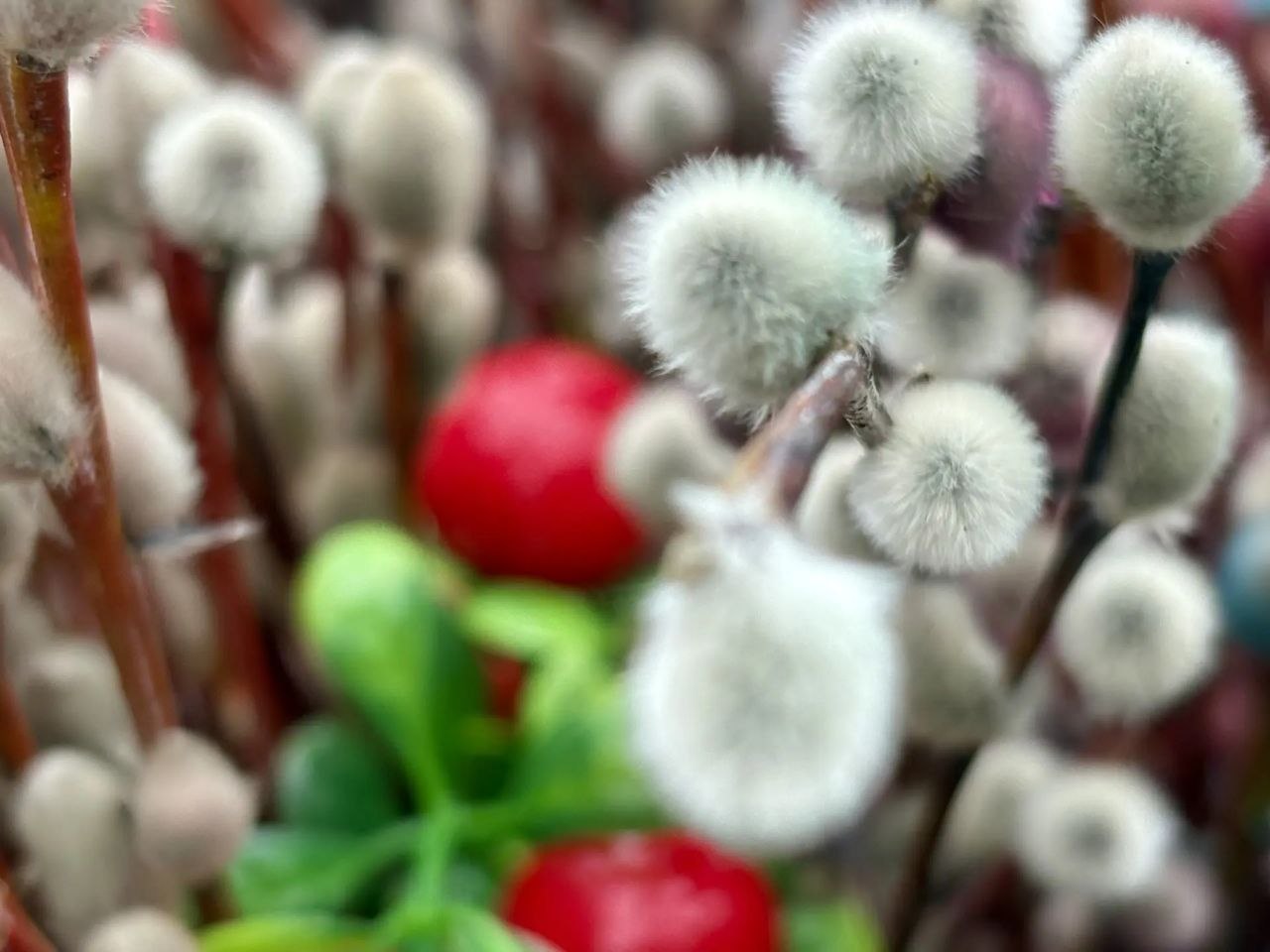 Дмитрий Кощенко: Уважаемые нижневартовцы Сердечно поздравляю с Вербным воскресеньем – светлым праздником, который символизирует торжество жизни, добра и надежды Дмитрий Кощенко: Уважаемые нижневартовцы Сердечно поздравляю с Вербным воскресеньем – светлым праздником, который символизирует торжество жизни, добра и надежды