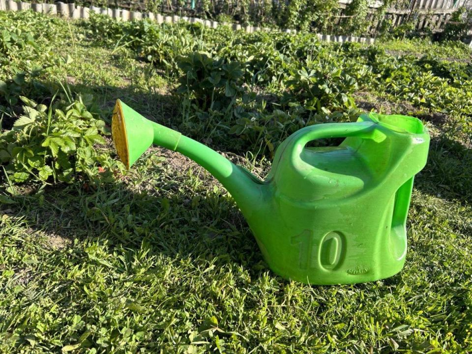 ��� ����� ������ ����� ������ ��� ������: ����������� ������ ��� ��������