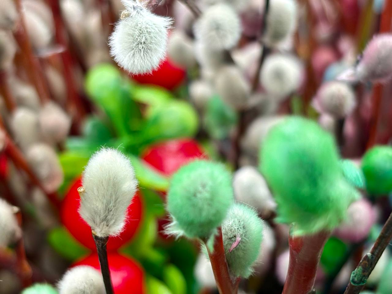Сегодня, 5 апреля, за неделю до Пасхи, отмечается один из важнейших праздников - Вербное воскресенье, или Вход Господень в Иерусалим Сегодня, 5 апреля, за неделю до Пасхи, отмечается один из важнейших праздников - Вербное воскресенье, или Вход Господень в Иерусалим