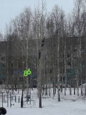 ����� ������. ���� ���������